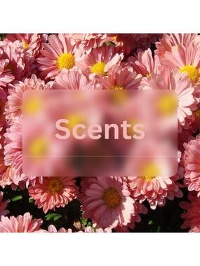 Scented minis samples luxury gifting